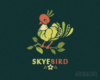 Skyebird菜鸟标志设计