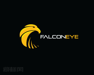 Falcon Eye监控服务标志设计
