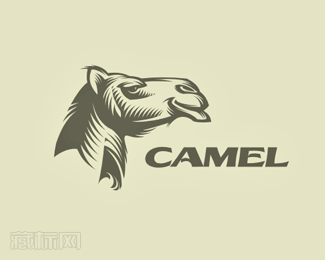 Camel骆驼头像logo设计
