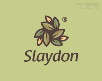 Slaydon Media传媒公司logo设计