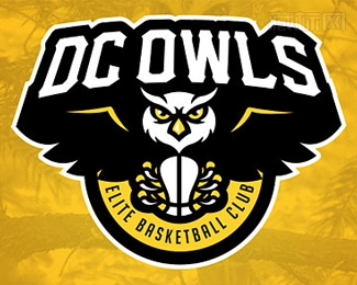 DC Owls直流猫头鹰标志设计
