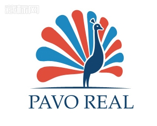 Pavo Real孔雀logo设计