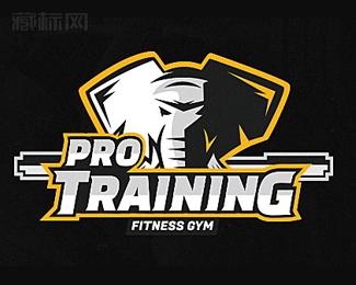 Pro Training大象职业培训logo设计