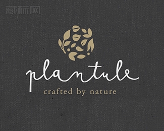 Plantule Pillows花纹标志设计
