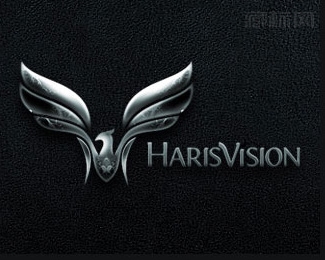 Haris Vision鹰标志设计