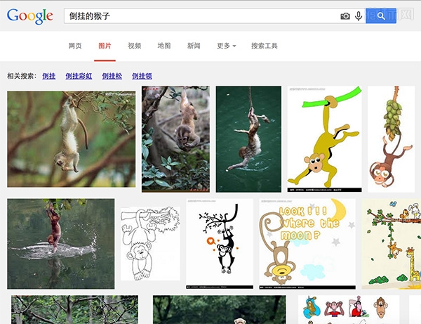 Google 搜索倒挂的猴子