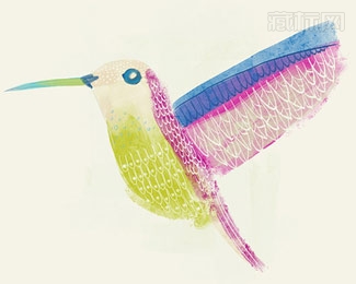  bird蜂鸟logo设计