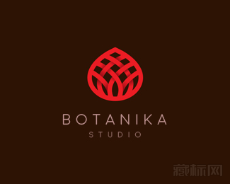Botanika编织logo设计