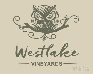 Westlake猫头鹰标志设计