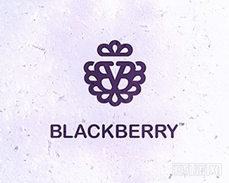 Blackberry黑莓标志设计欣赏