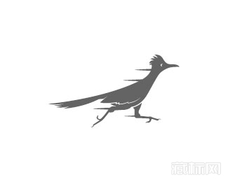 Roadrunner鸟logo设计欣赏
