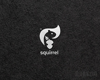 squirrel松鼠logo设计欣赏