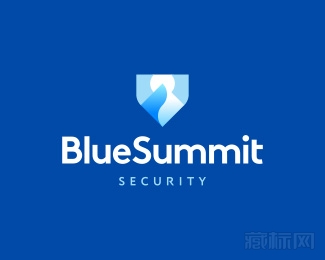 Blue Summit Security蓝色峰会安全logo设计欣赏