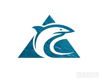  BOARD SPORT鲨鱼logo设计欣赏