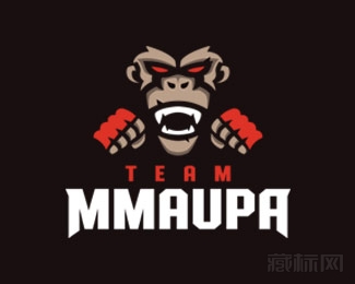 Team MMAUPA星星标志设计欣赏