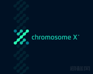 Chromosome X标志设计欣赏