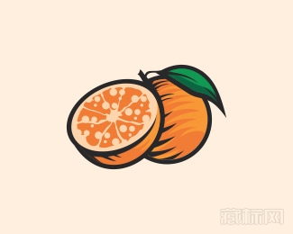 Fresh Orange Fruit橙子水果logo设计欣赏